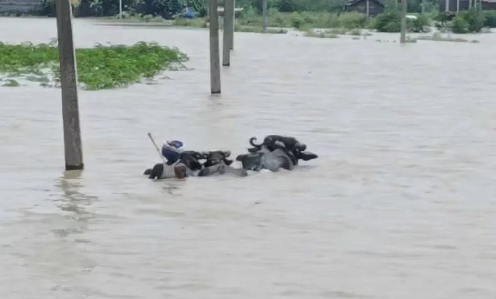 गंगा में बढ़ा जलस्तर, गनियारी टोला में बाढ़ का खतरा, गांव छोड़ने को मजबूर ग्रामीण