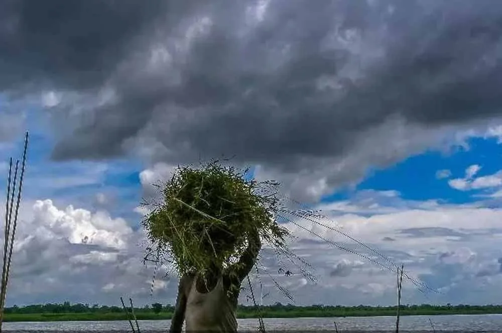मानसून लगभग पूरे देश में पहुंच चुका, कैसा रहेगा अगले 5 दिनों के मौसम का हाल?, बारिश का अलर्ट जारी