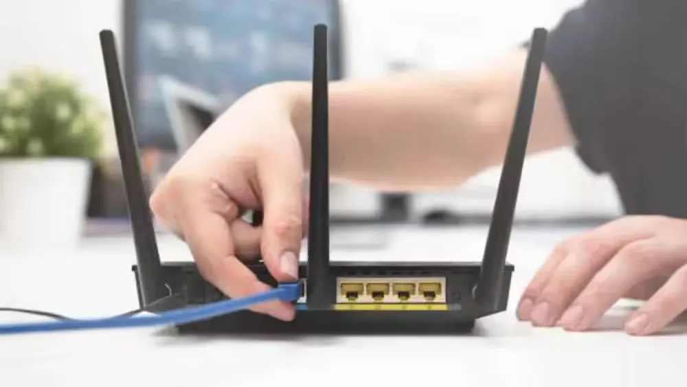 घर में इंटरनेट धीमा? हो सकता है पौधे ही रोक रहे हों WiFi सिग्नल!