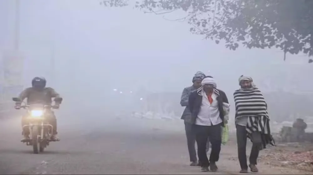 छत्तीसगढ़ में ठंड का कहर: गौरेला-पेंड्रा-मरवाही में घना कोहरा, शीतलहर से जनजीवन प्रभावित