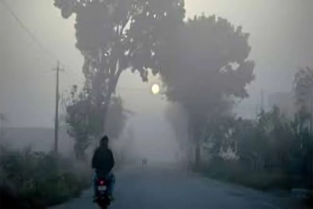 बिहार में कड़ाके की ठंड का कहर, नालंदा में पारा 3.1°C तक लुढ़का, IMD अलर्ट जारी