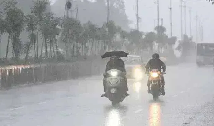 यूपी में मौसम का बड़ा उलटफेर: कहीं भारी बारिश तो कहीं घना कोहरा, IMD ने जारी किया अलर्ट