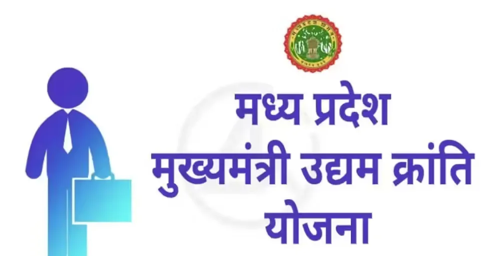 मेहनत और योजना का साथ, कविता दुबे ने खड़ा किया सफल व्यवसाय