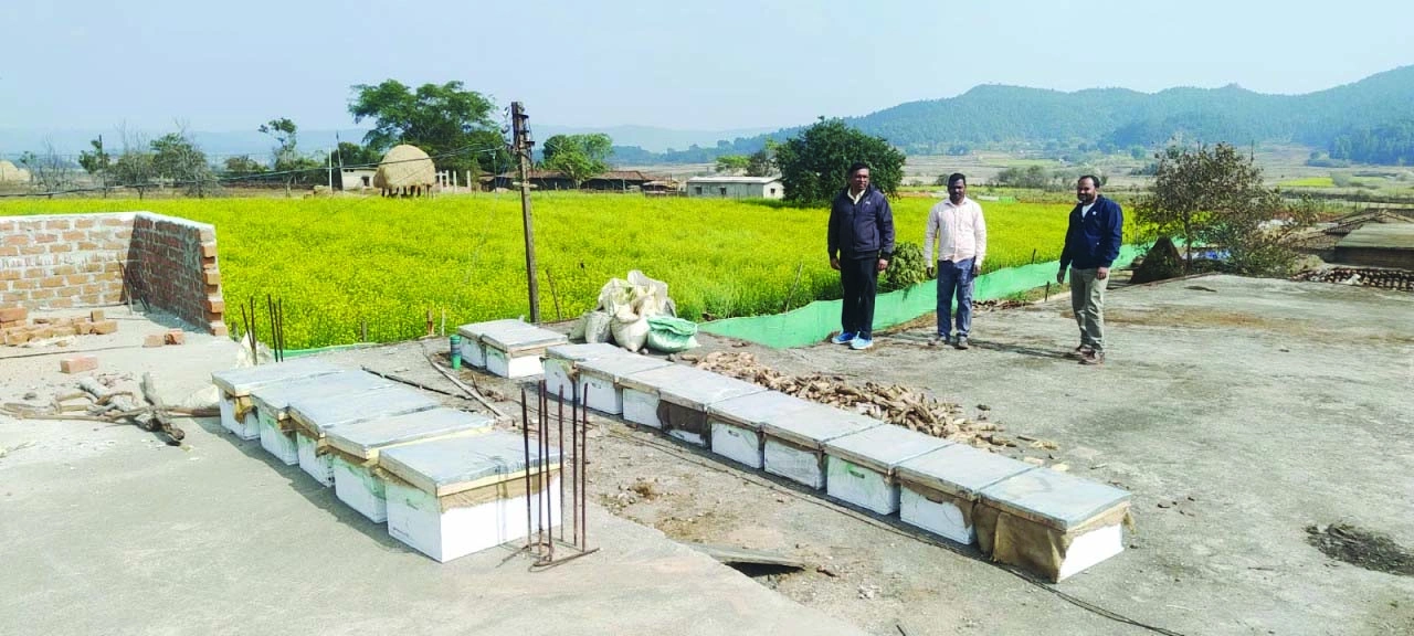 रायपुर में मधुमक्खी पालन बना आय का नया साधन, कम लागत में ज्यादा मुनाफे का बेहतर विकल्प