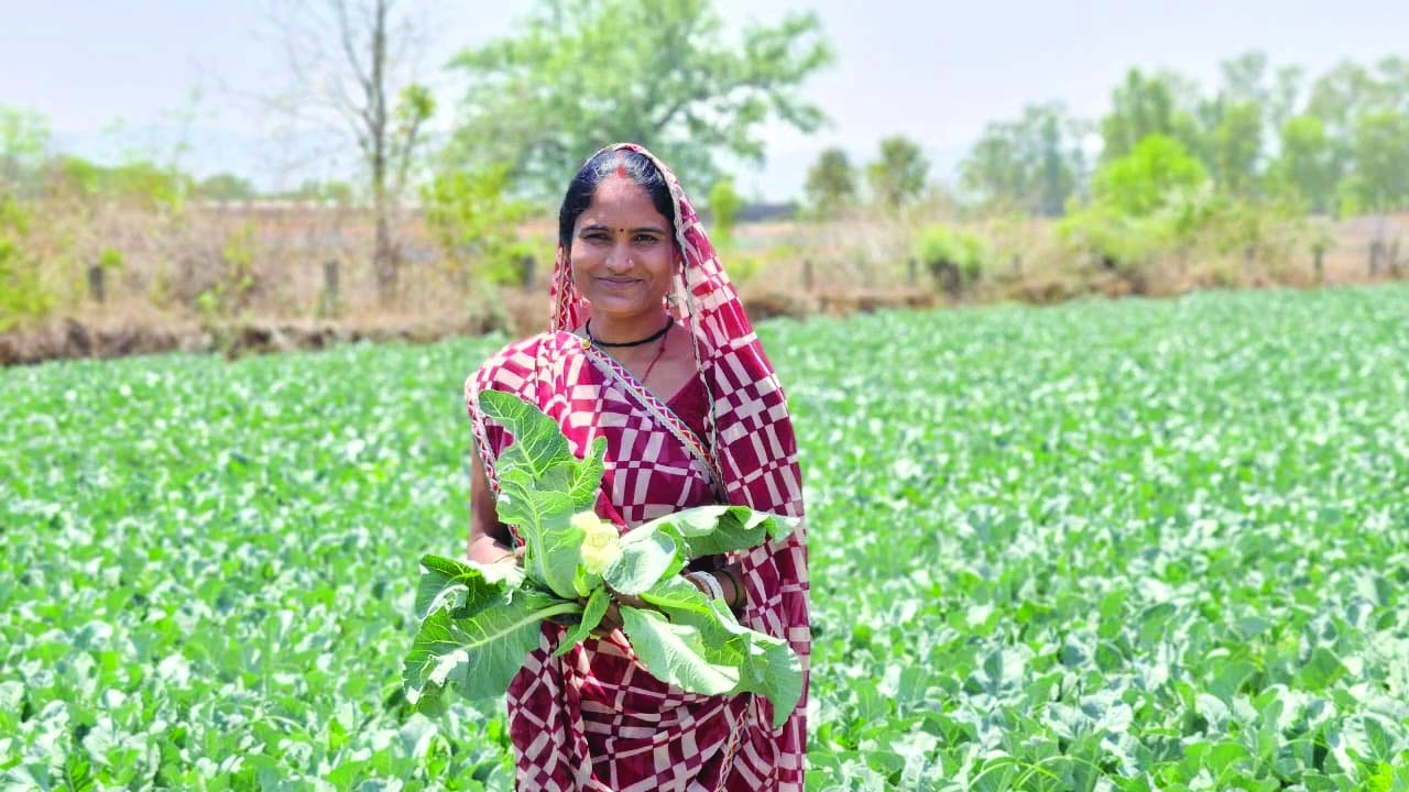 साय सरकार की पहल से हमेश्वरी राठौर बनीं लखपति दीदी