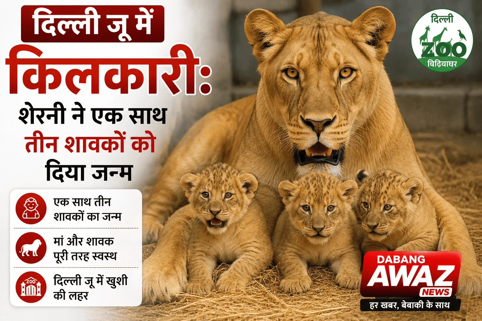 दिल्ली जू में किलकारी: शेरनी ने एक साथ तीन शावकों को दिया जन्म