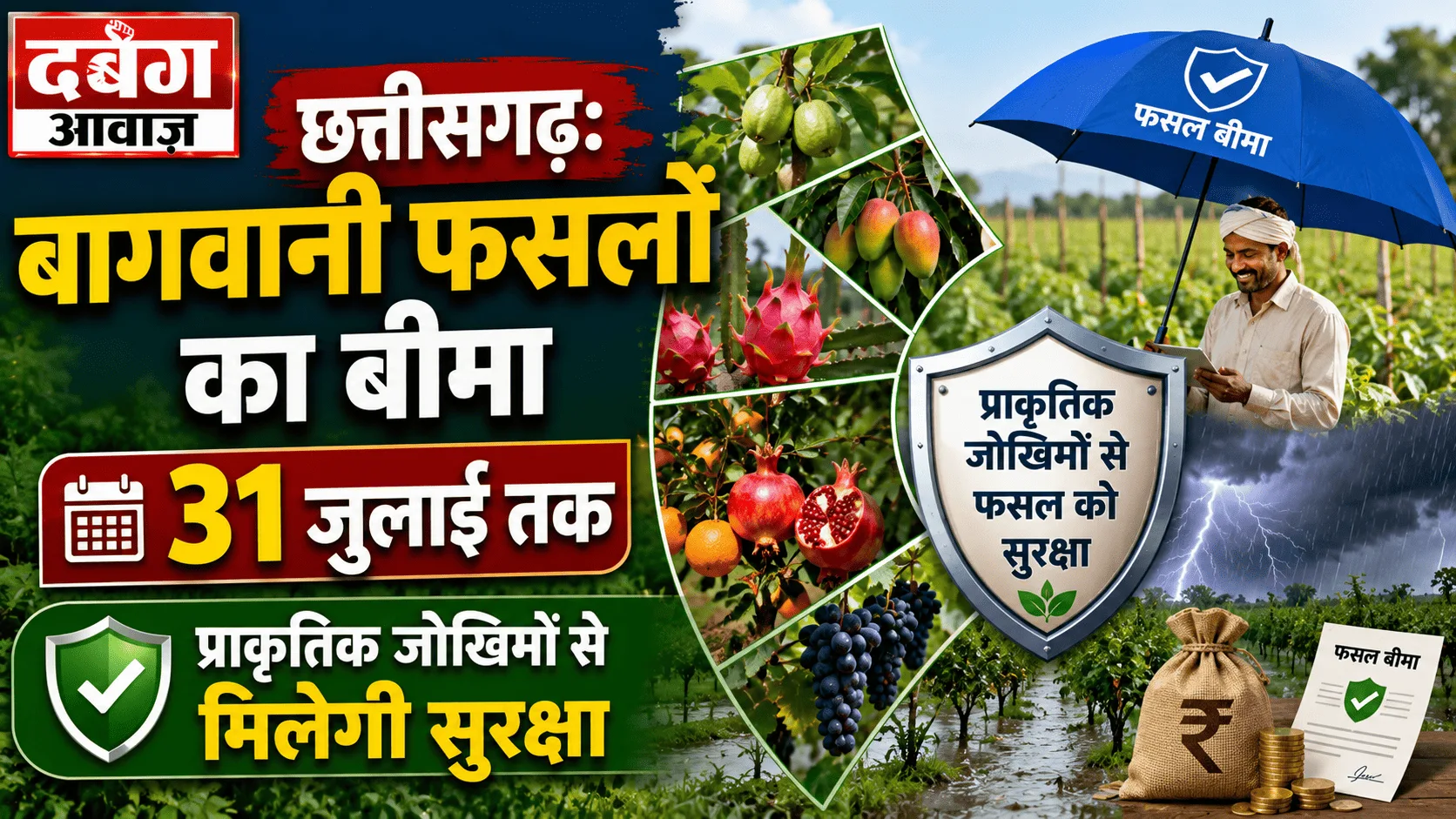 छत्तीसगढ़: बागवानी फसलों का बीमा 31 जुलाई तक, प्राकृतिक जोखिमों से मिलेगी सुरक्षा