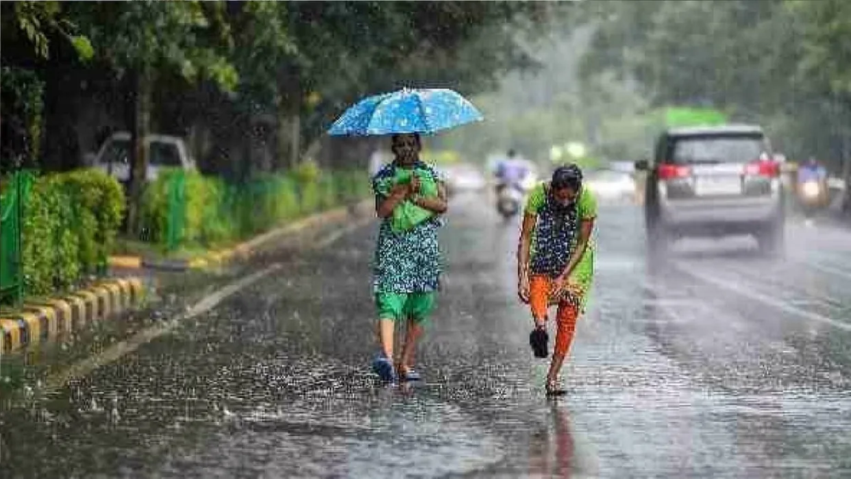 छत्तीसगढ़ में मानसून की अच्छी रफ्तार: 241.7 मिमी वर्षा दर्ज, सामान्य के करीब