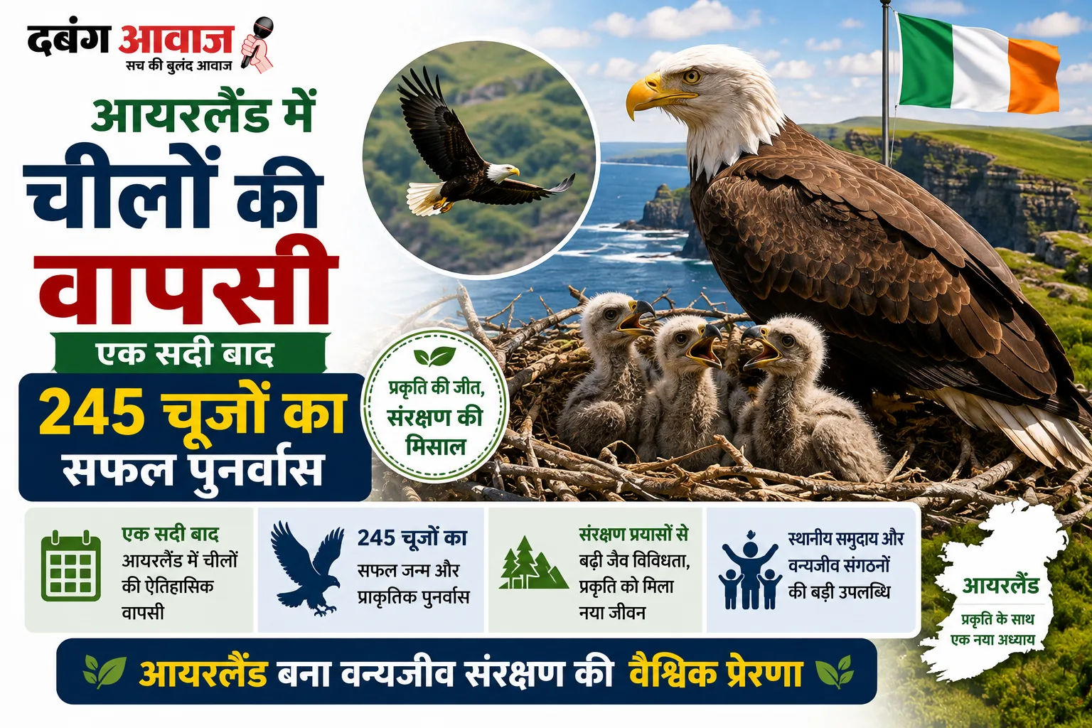 आयरलैंड में चीलों की वापसी: एक सदी बाद 245 चूजों का सफल पुनर्वास